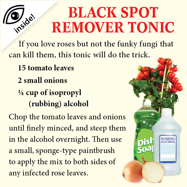 Terrific Garden Tonics