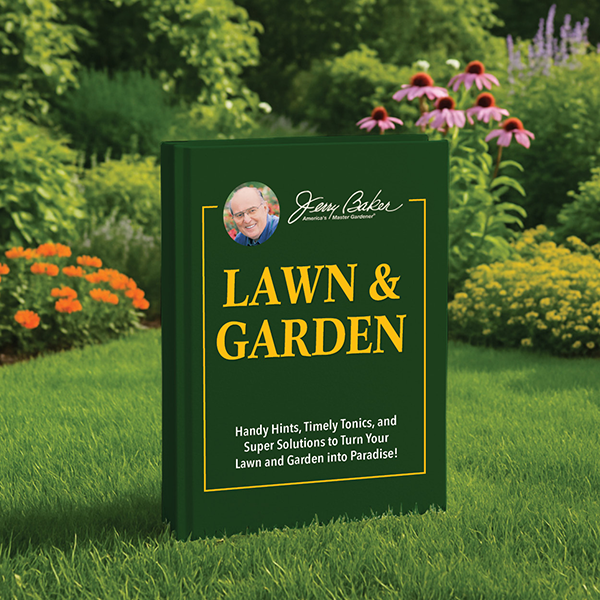 Lawn & Garden
