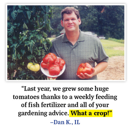 Terrific Garden Tonics